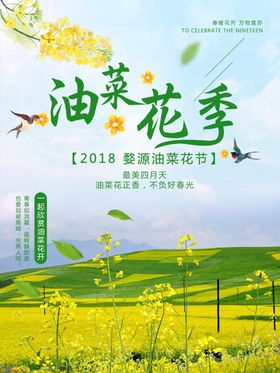 油菜花