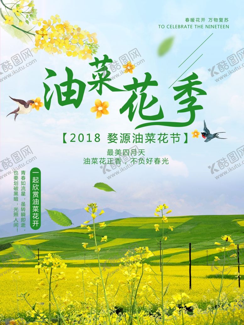 编号：77784207090758185712【酷图网】源文件下载-油菜花