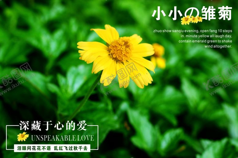 编号：75941910151531586295【酷图网】源文件下载-小雏菊