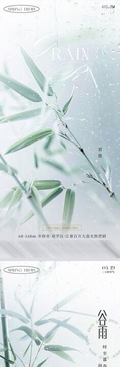 谷雨竹子地产海报