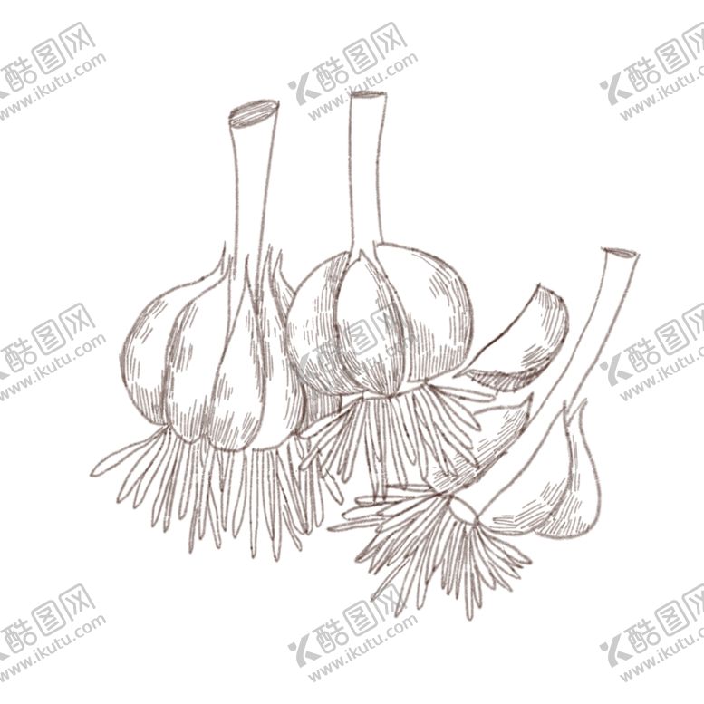 编号：84841307061755573319【酷图网】源文件下载-手绘食物线描食物食物线稿