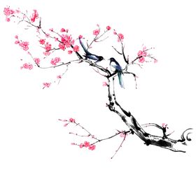 中国风水墨梅