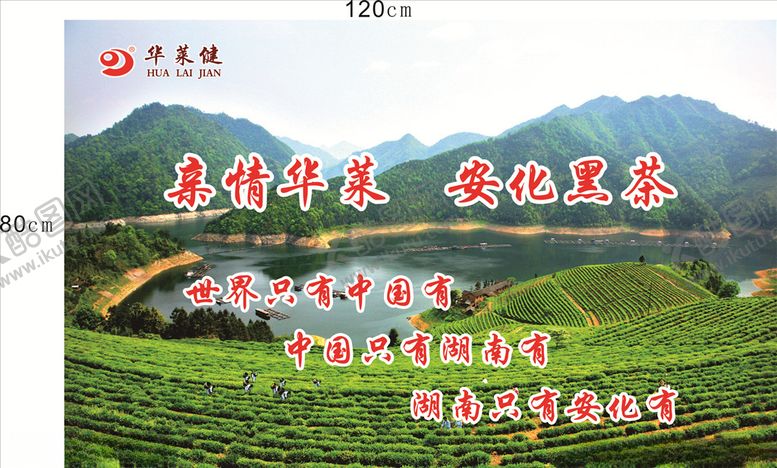 编号：94095510070806343480【酷图网】源文件下载-华莱黑茶展板