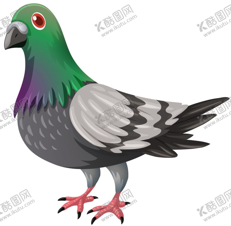 编号：67425206250919596295【酷图网】源文件下载-动物鸟禽鸽子图案