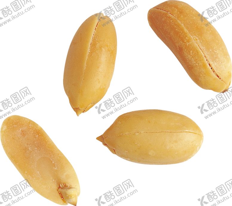 编号：46495904261623354416【酷图网】源文件下载-花生