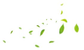 背景花纹