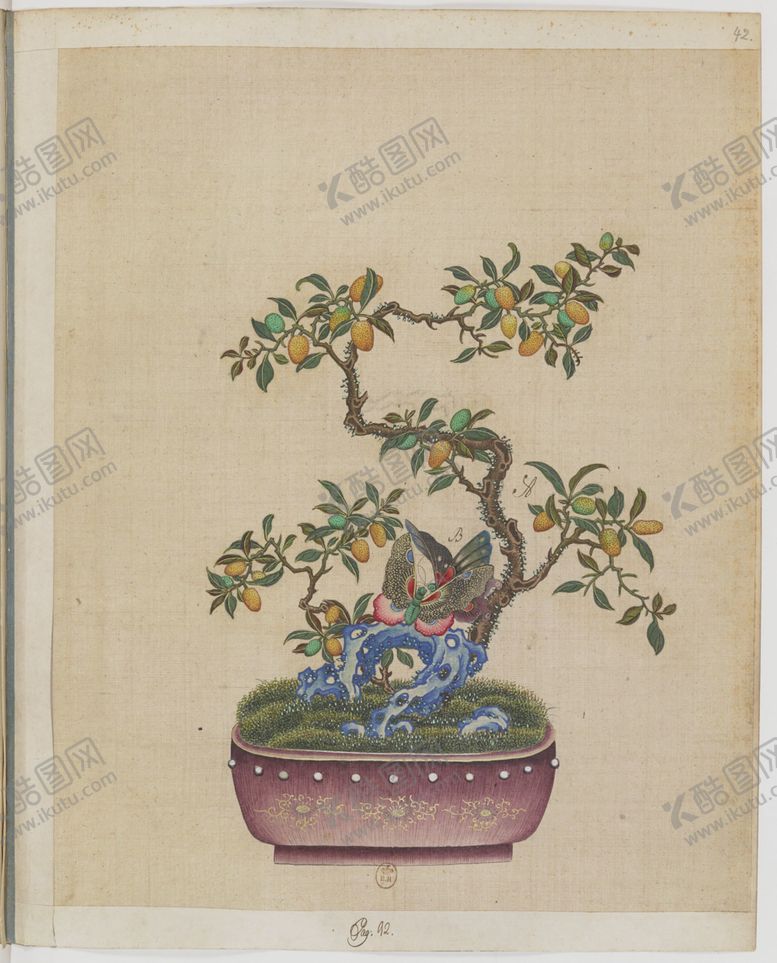 编号：73472507030508581221【酷图网】源文件下载-盆景花鸟