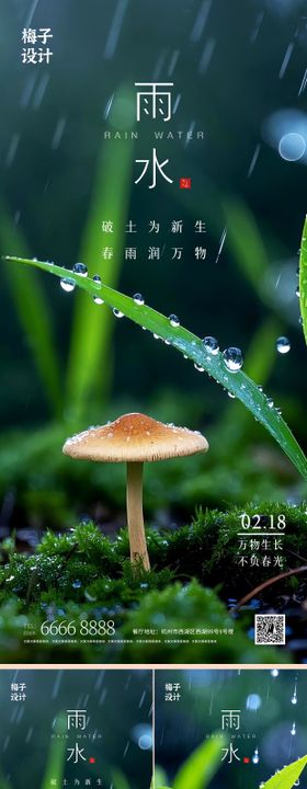 雨水房地产节气海报