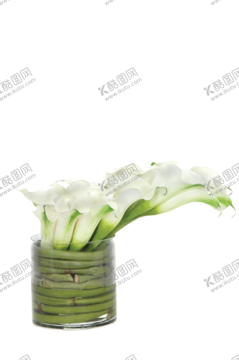 编号：24975709111027543532【酷图网】源文件下载-免抠背景花草树木