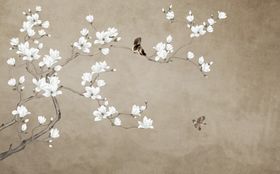 花鸟画玉兰春色满园