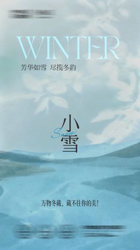 医美小雪海报
