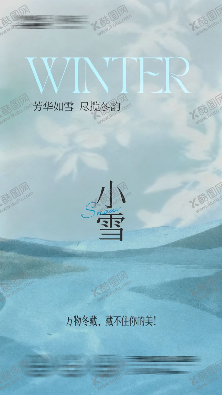 编号：24406611131019233988【酷图网】源文件下载-医美小雪海报