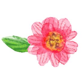 鲜花素材纺织印郁金香唯美