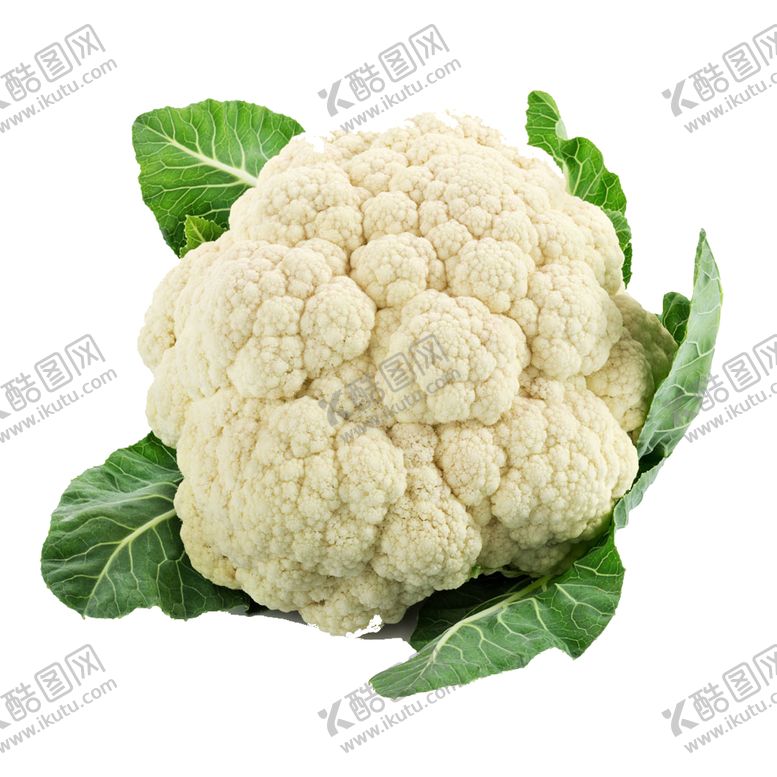 编号：40122001310158049510【酷图网】源文件下载-花菜