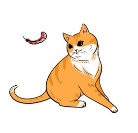 橘猫插画