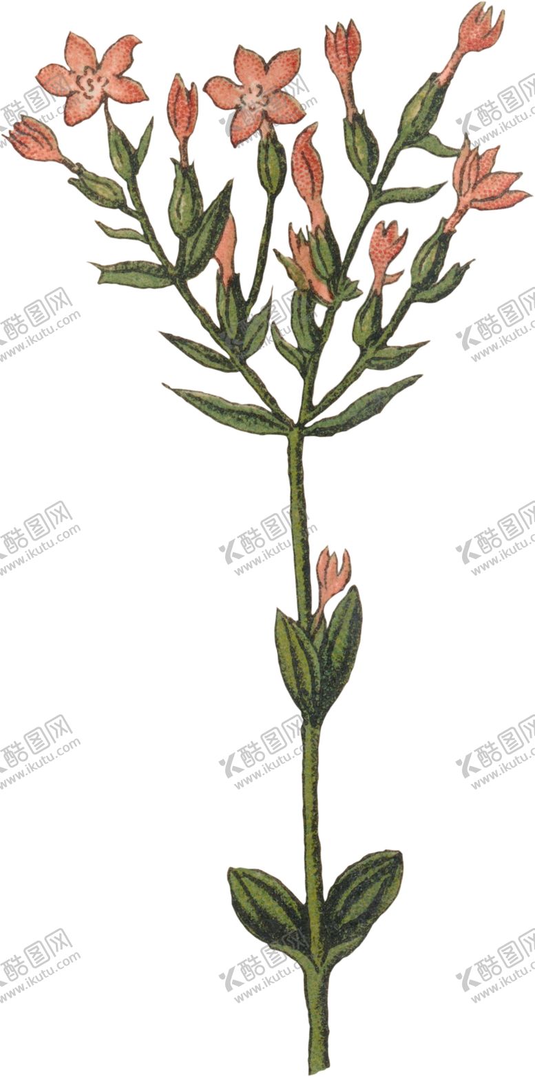 编号：49378505110407401267【酷图网】源文件下载-水彩插画