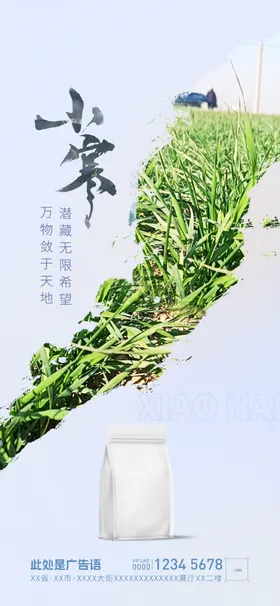 小寒节气海报