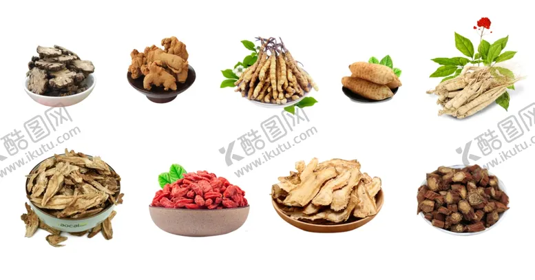 编号：24902009112317184486【酷图网】源文件下载-药材