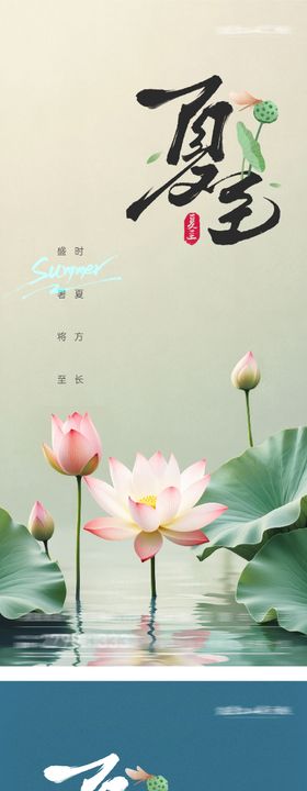 夏日清新夏至海报