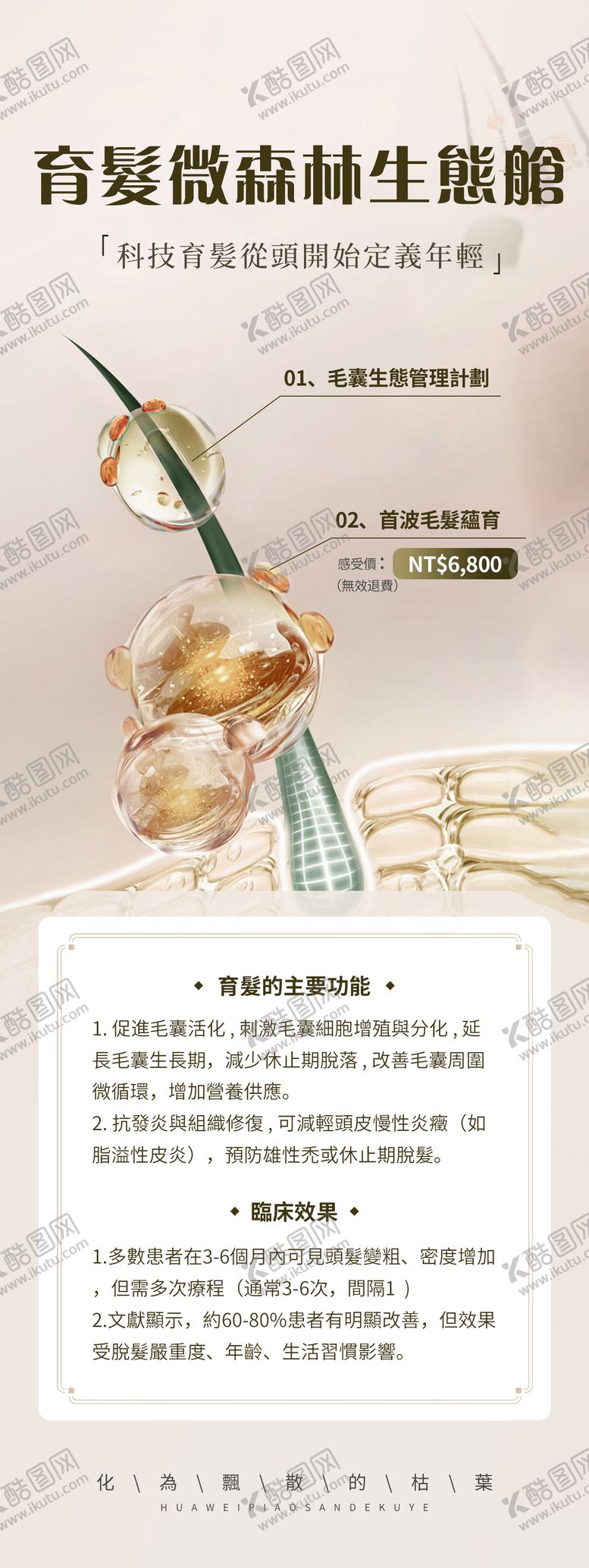 编号：50200410072334109236【酷图网】源文件下载-育发森林生态仓海报