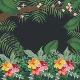 热带植物背景