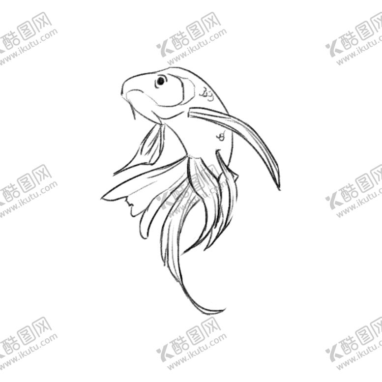 编号：95346105130901484239【酷图网】源文件下载-金鱼线稿