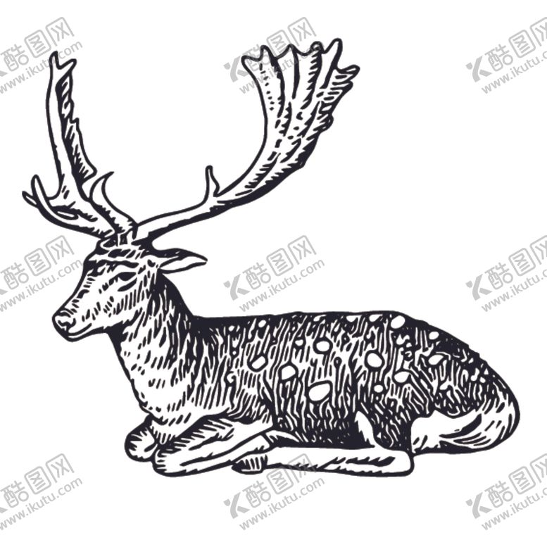 编号：57385510021142345485【酷图网】源文件下载-麋鹿绘画