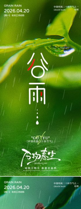 简约谷雨节气借势海报