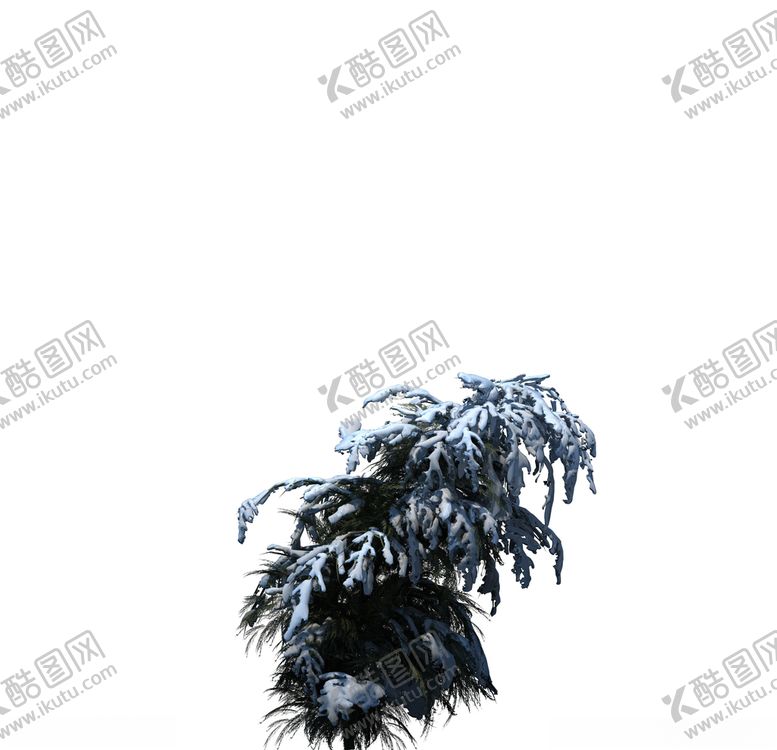 编号：20372607122322009320【酷图网】源文件下载-树木
