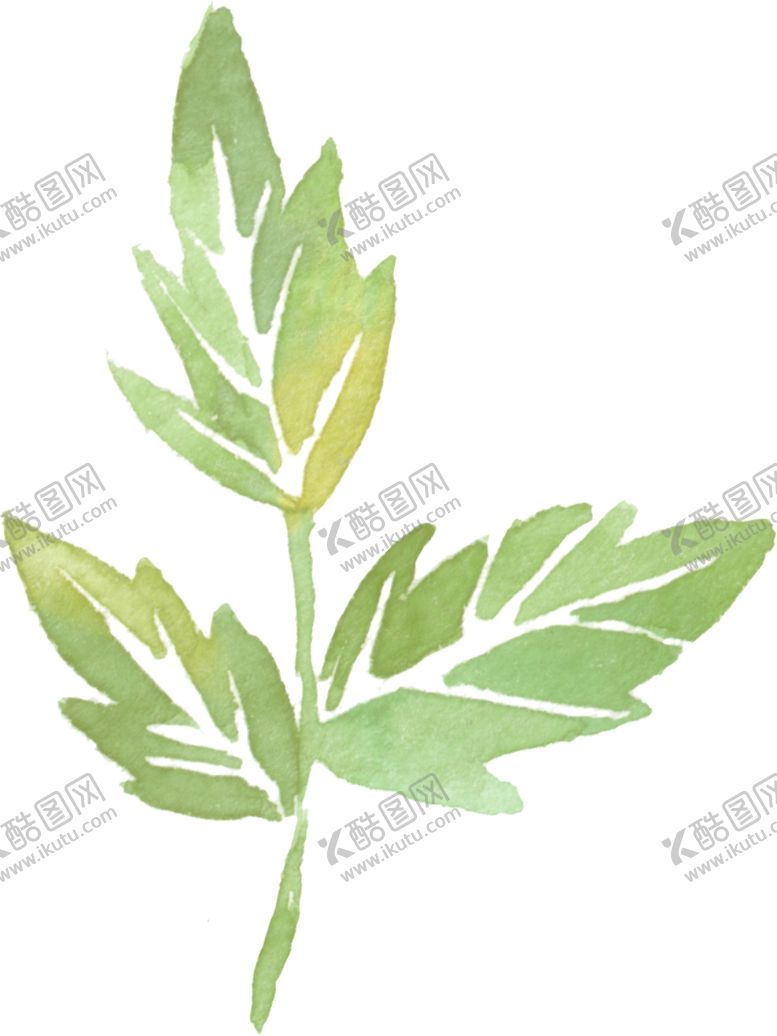 编号：16767610151307046801【酷图网】源文件下载-叶子