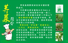 荠菜简介
