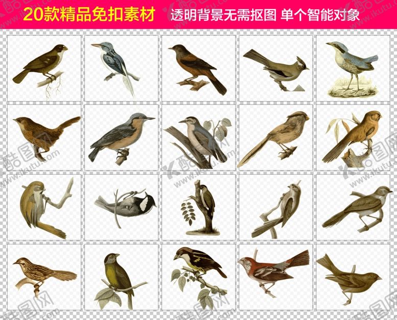 编号：62667212011808499467【酷图网】源文件下载-鸟免抠素材