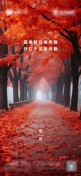 霜降单