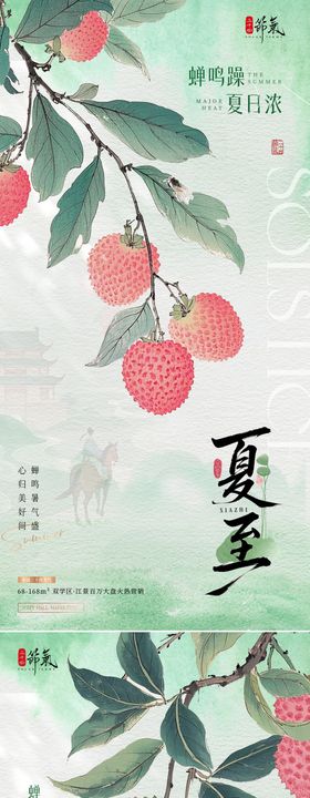 夏至小暑荔枝古风插画海报