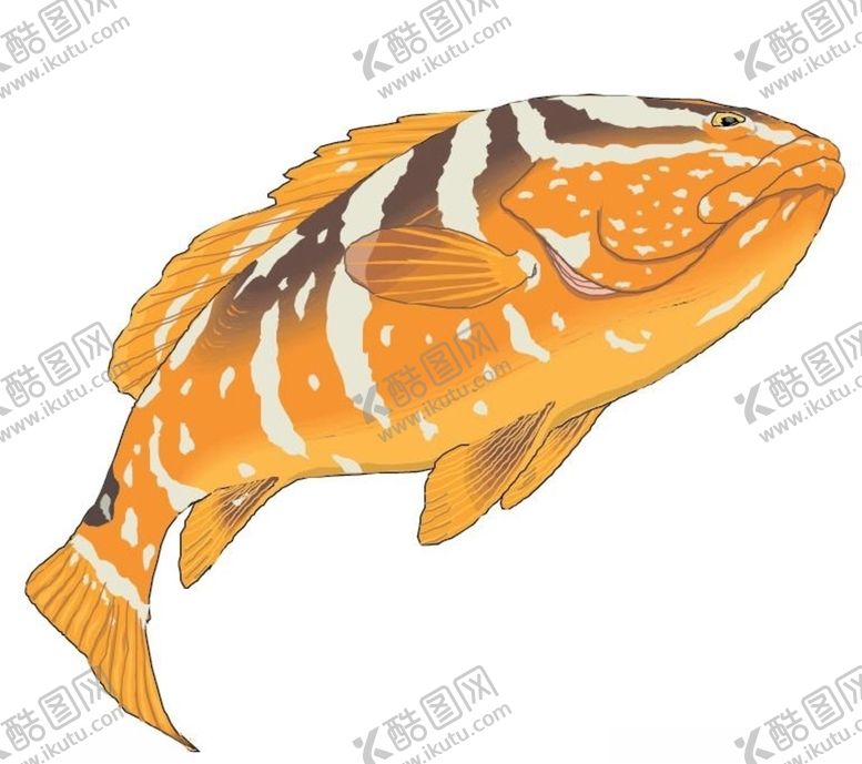 编号：53756305111056073488【酷图网】源文件下载-大鱼