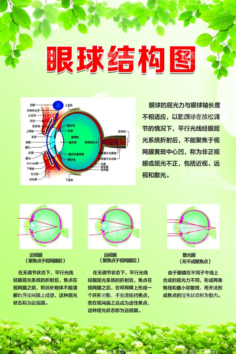 编号：30530011260013278531【酷图网】源文件下载-眼球结构图