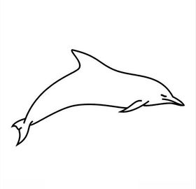 海豚