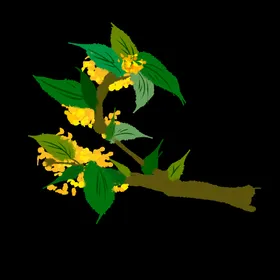 手绘桂花png免抠素材卡通中秋中国画