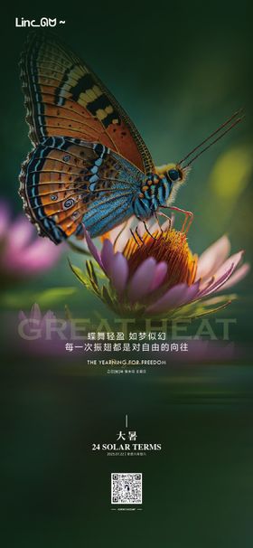 大暑微单