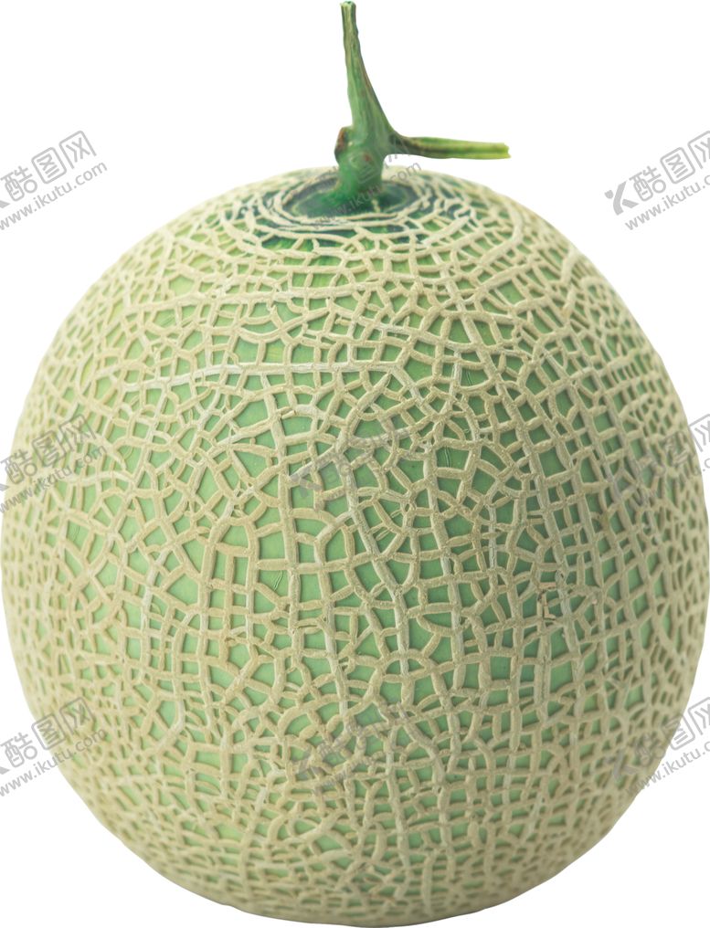 编号：58271009201609188136【酷图网】源文件下载-哈密瓜