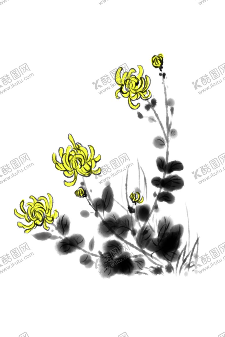 编号：90525409201020372182【酷图网】源文件下载-菊花素材