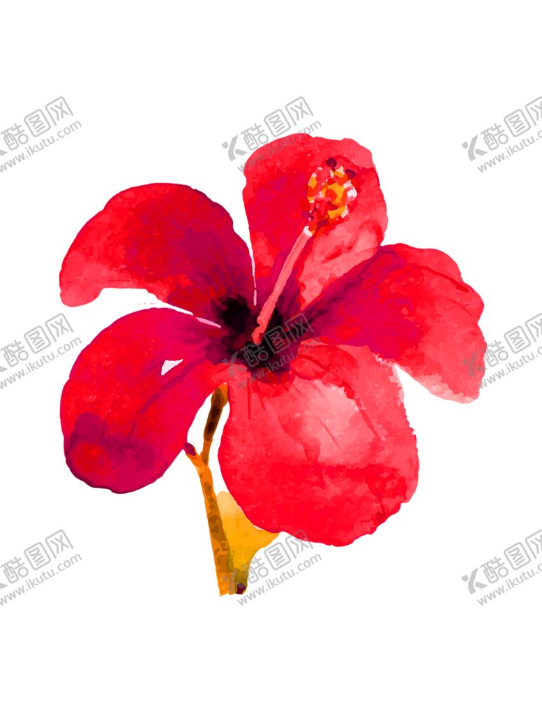 编号：97681909230257159999【酷图网】源文件下载-花素材