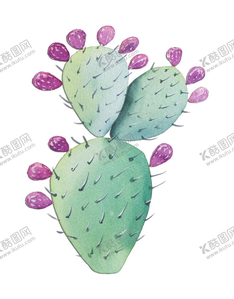 编号：24295602022245005936【酷图网】源文件下载-手绘仙人掌