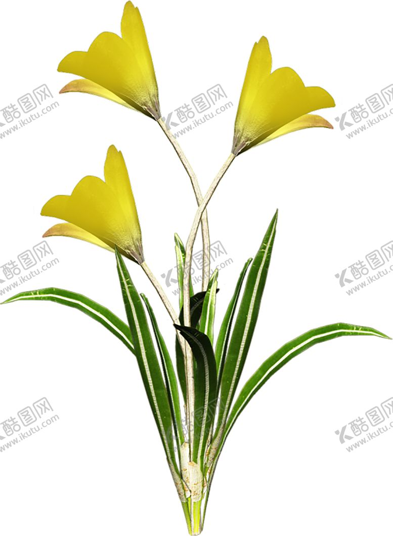 编号：27190306241706077583【酷图网】源文件下载-鲜花素材