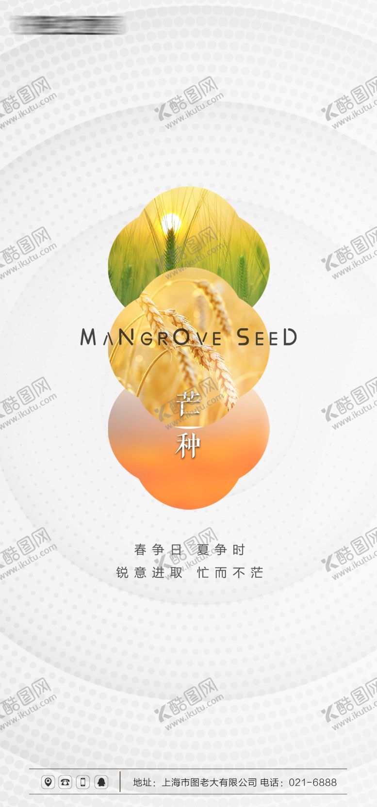 编号：96286302200248101426【酷图网】源文件下载-芒种节气海报