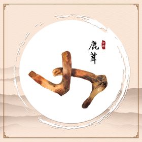 编号：27158409250936563579【酷图网】源文件下载-鹿茸