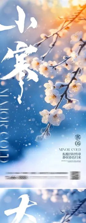 大寒小寒海报