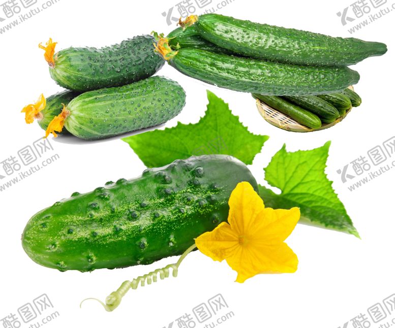 编号：73537109281452063293【酷图网】源文件下载-黄瓜免扣图