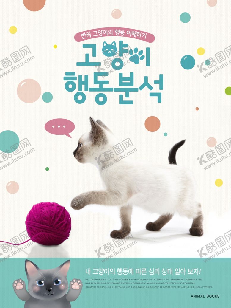 编号：60565909291221256364【酷图网】源文件下载-创意动物合成图片