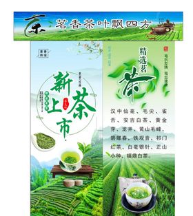 新茶上市图片